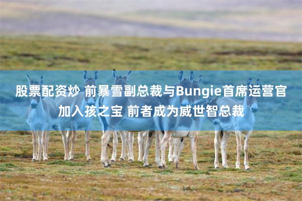 股票配资炒 前暴雪副总裁与Bungie首席运营官加入孩之宝 前者成为威世智总裁