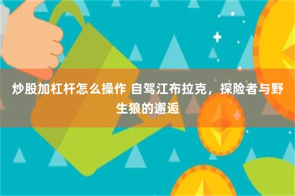 炒股加杠杆怎么操作 自驾江布拉克，探险者与野生狼的邂逅