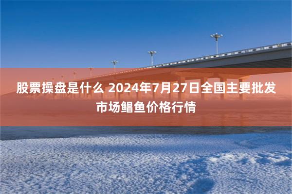 股票操盘是什么 2024年7月27日全国主要批发市场鲳鱼价格行情