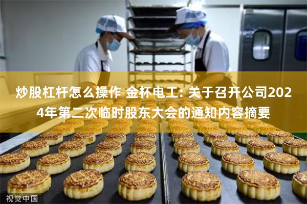 炒股杠杆怎么操作 金杯电工: 关于召开公司2024年第二次临时股东大会的通知内容摘要