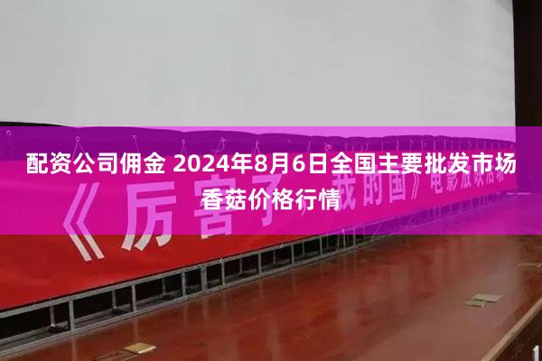 配资公司佣金 2024年8月6日全国主要批发市场香菇价格行情