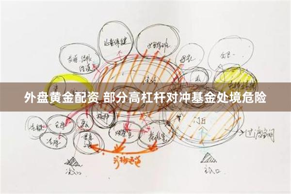 外盘黄金配资 部分高杠杆对冲基金处境危险