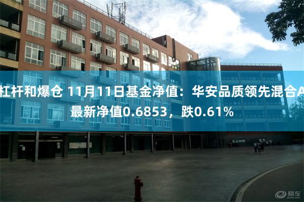 杠杆和爆仓 11月11日基金净值：华安品质领先混合A最新净值0.6853，跌0.61%