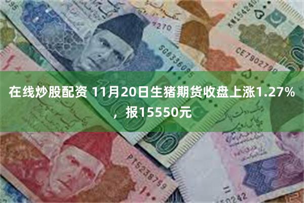 在线炒股配资 11月20日生猪期货收盘上涨1.27%，报15550元