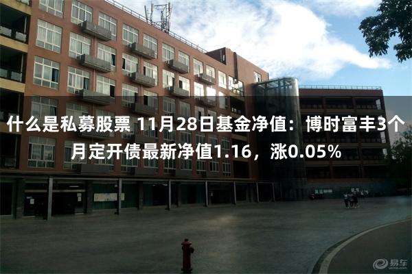 什么是私募股票 11月28日基金净值：博时富丰3个月定开债最新净值1.16，涨0.05%