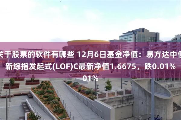 关于股票的软件有哪些 12月6日基金净值：易方达中债新综指发起式(LOF)C最新净值1.6675，跌0.01%