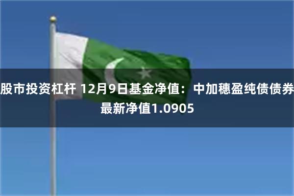 股市投资杠杆 12月9日基金净值：中加穗盈纯债债券最新净值1.0905