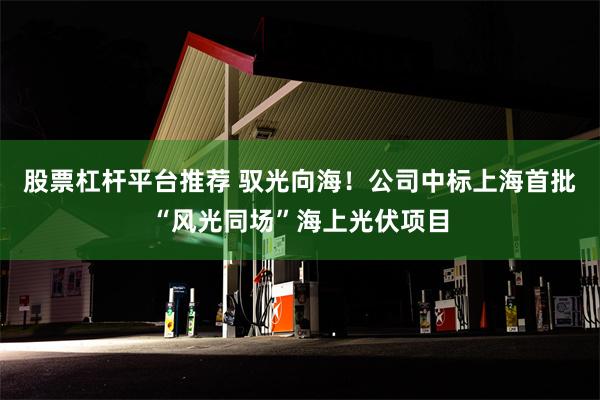 股票杠杆平台推荐 驭光向海！公司中标上海首批“风光同场”海上光伏项目